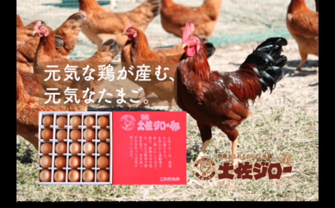 Uraniwa Tosa Jiro eggs, 25 · Uraniwa Natural Egg Garden